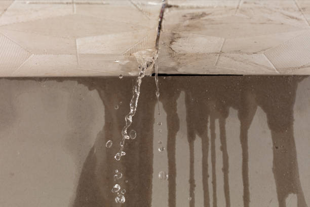 Professional Flood Damage Cleanup technician working in Ogdensburg, WI